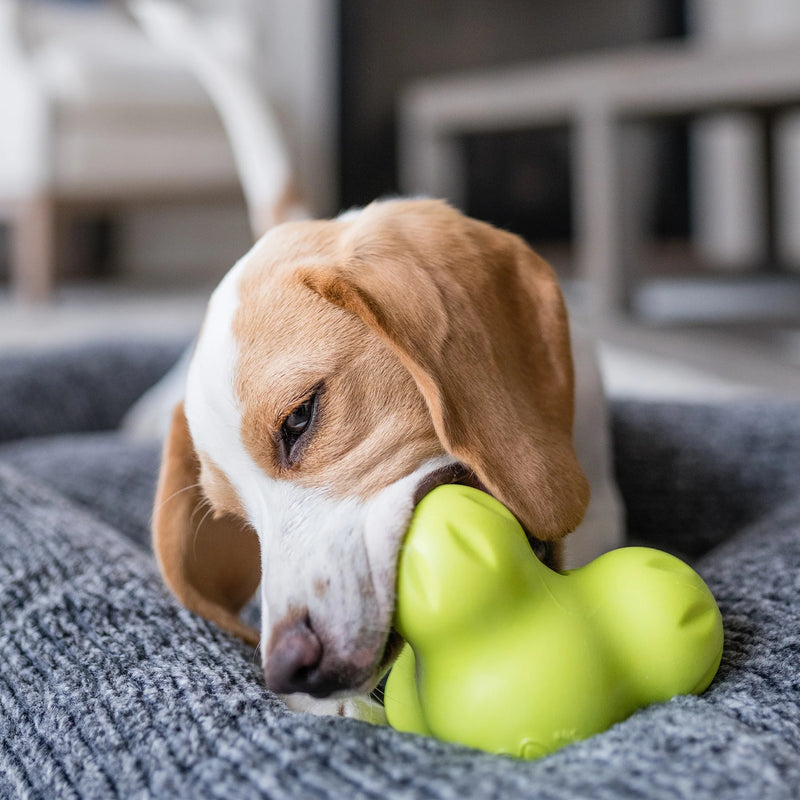 West Paw Zogoflex Tux® Ultra-Tough Treat Toy