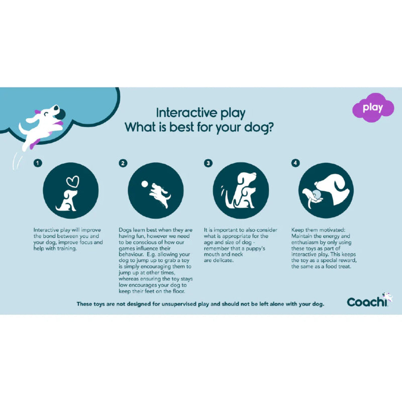 Company of Animals Coachi Tuggi Spider