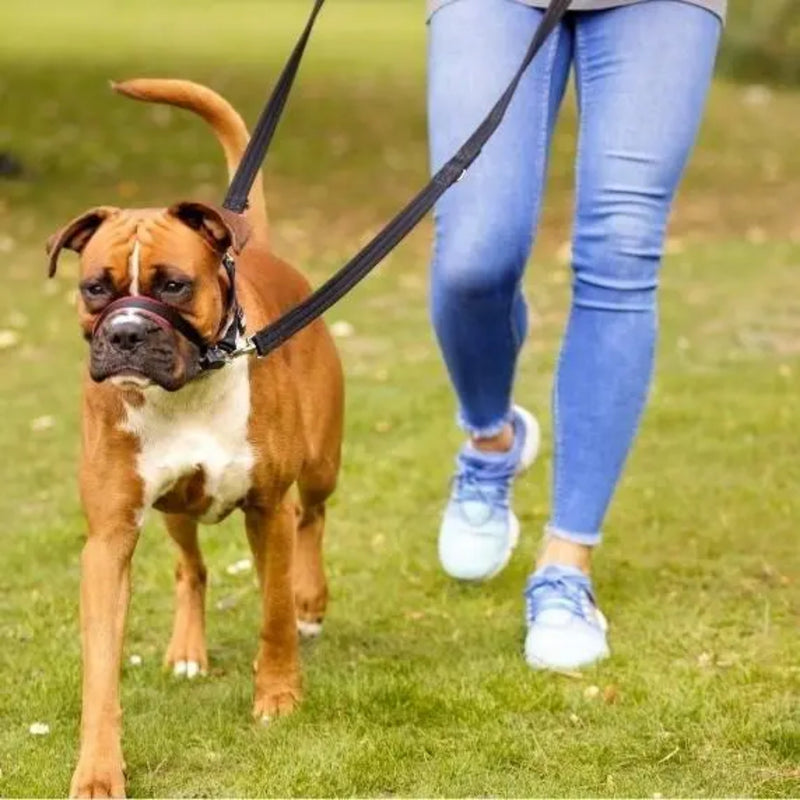 Halti OptiFit Adjustable Head Collar