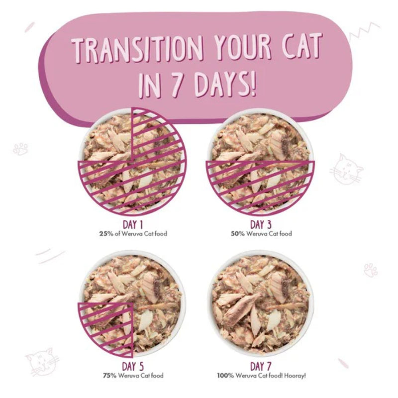 Weruva Mideast Feast with Grilled Tilapia in Gravy