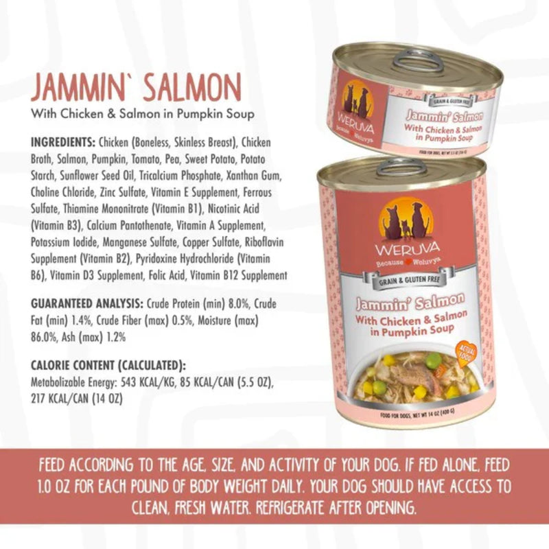 Weruva Jammin' Salmon Canned Dog Food