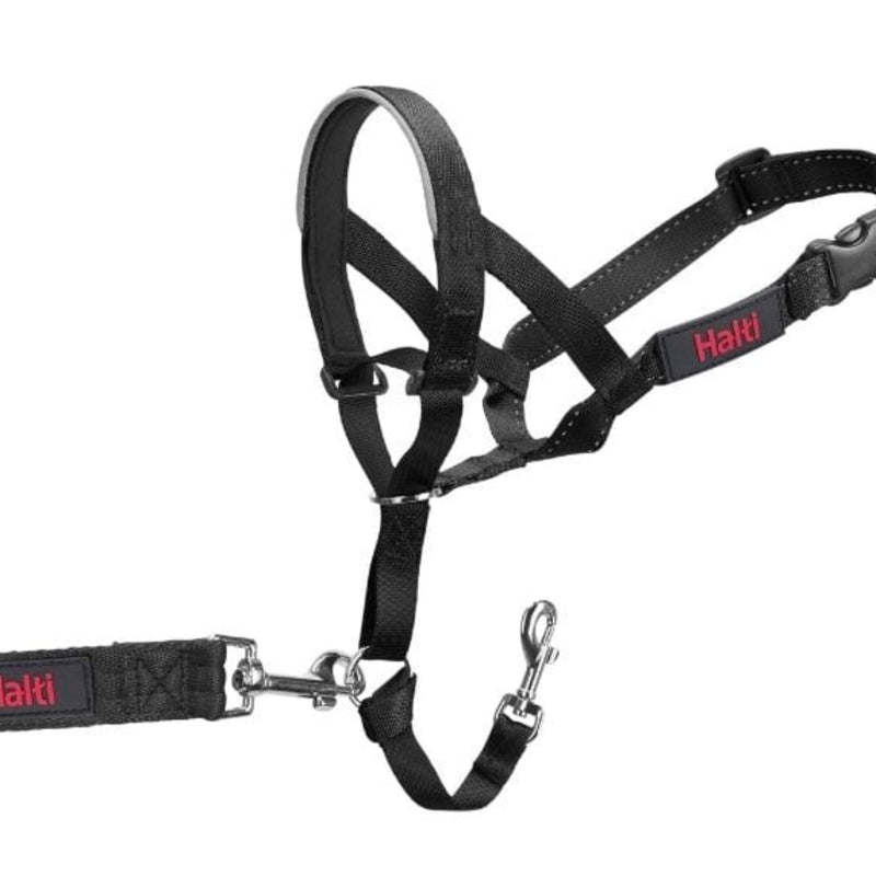 Halti Headcollar