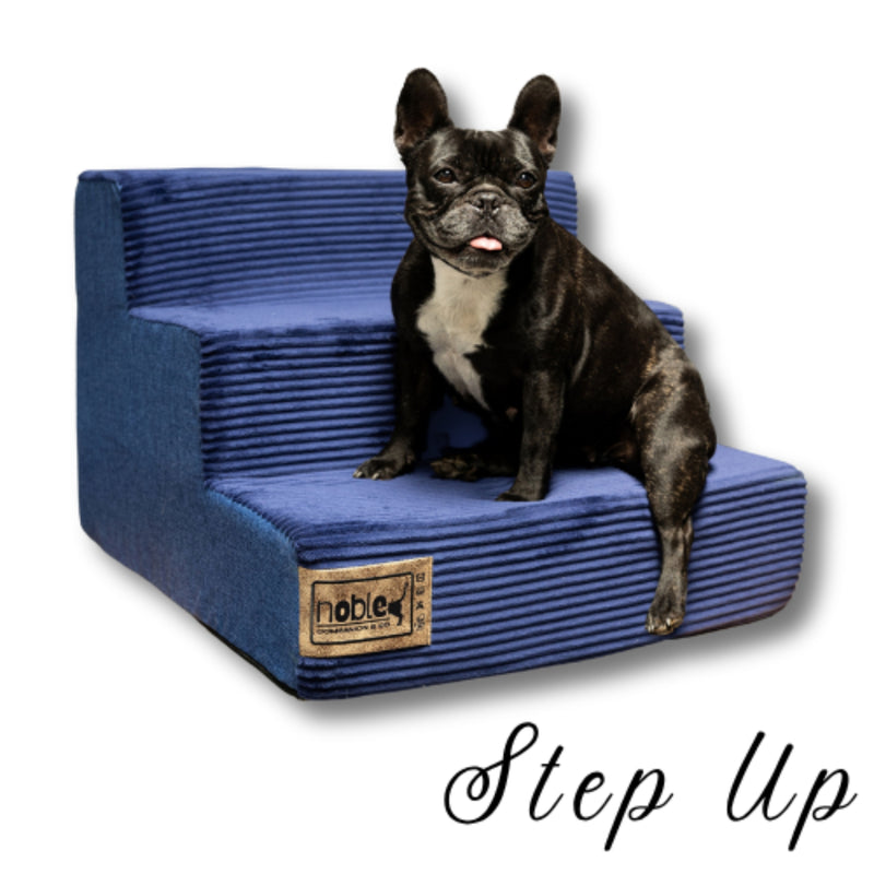 The Step Up Dog Stairs