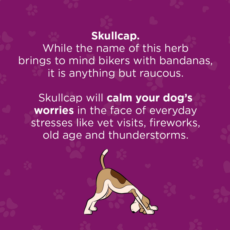 Gizzls  Stress & Anxiety CBD Treats for Medium/Large Dogs