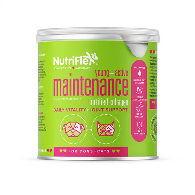 NutriFlex Daily Maintenance Collagen for Dogs and Cat