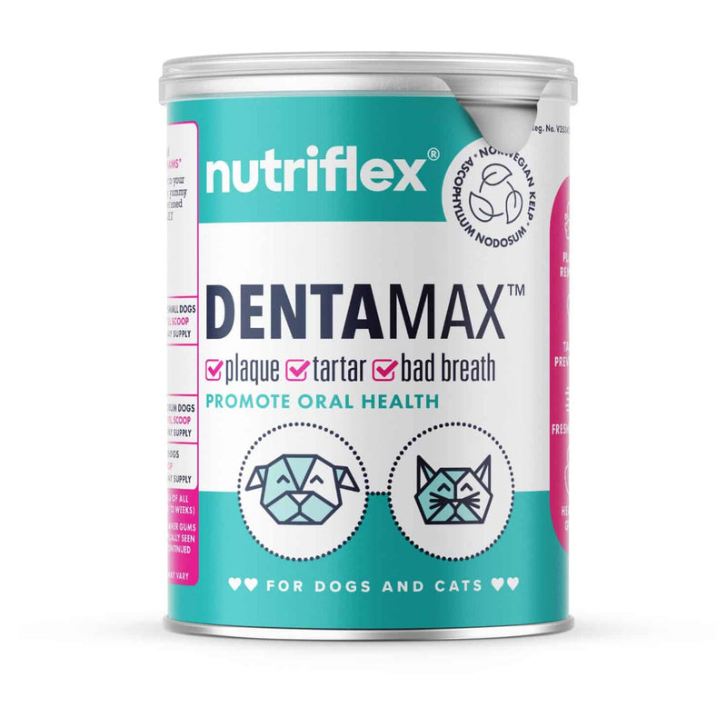 NutriFlex DentaMax Dental Powder for Dogs and Cats 180g