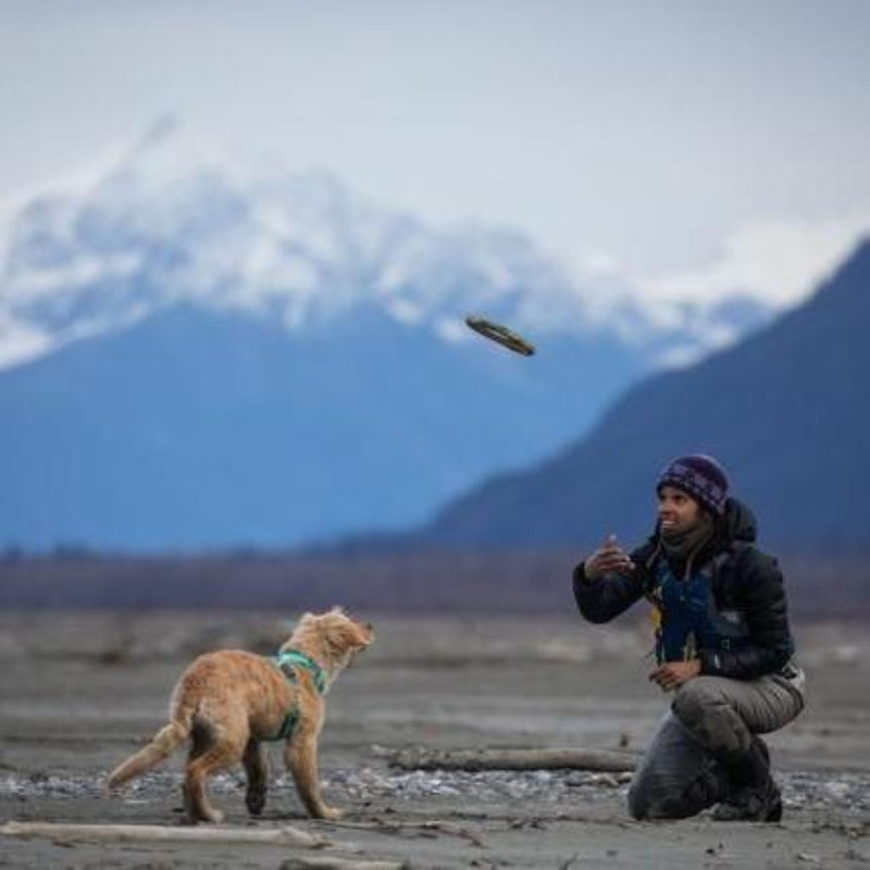 Ruffwear Front Range Padded Dog Harness