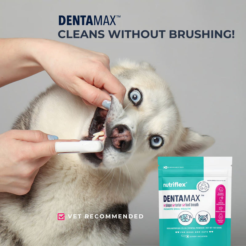 NutriFlex DentaMax Dental Powder for Dogs and Cats 180g