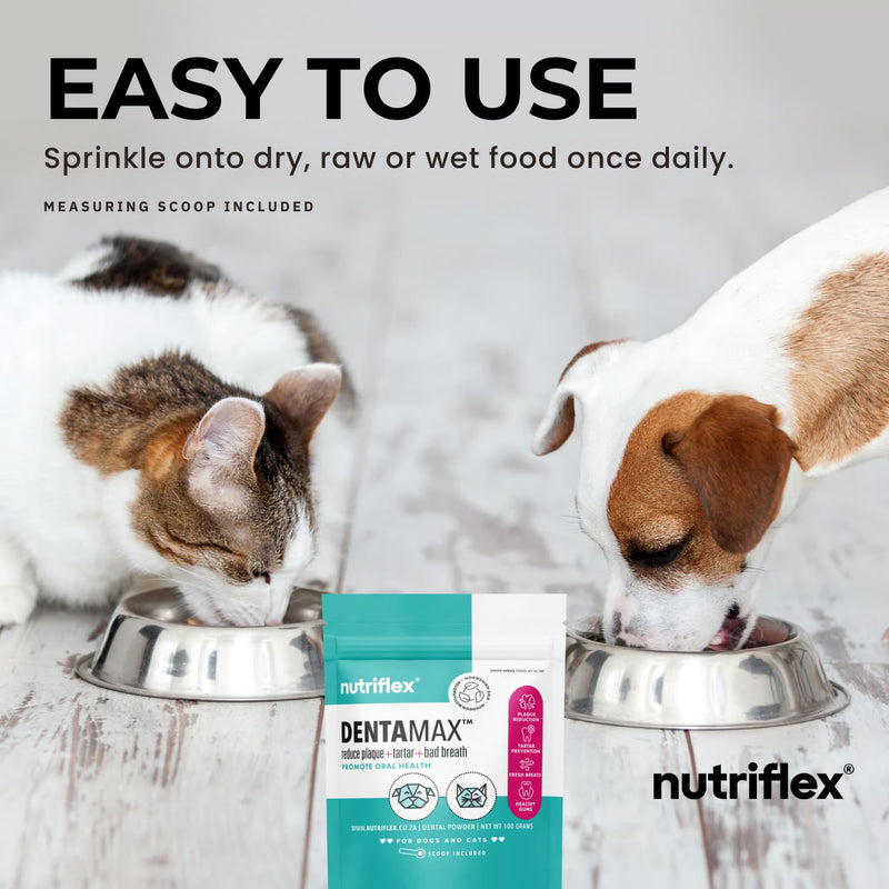 NutriFlex DentaMax Dental Powder for Dogs and Cats 180g