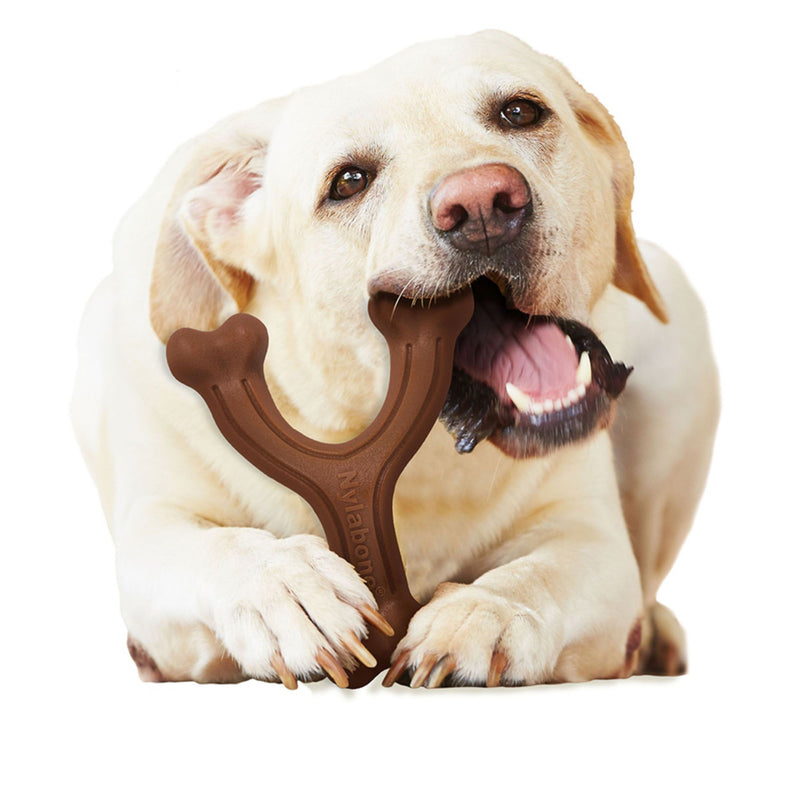 Nylabone Natural Alternatives Extreme Chew Wishbone Dog Toy - Bison Flavour