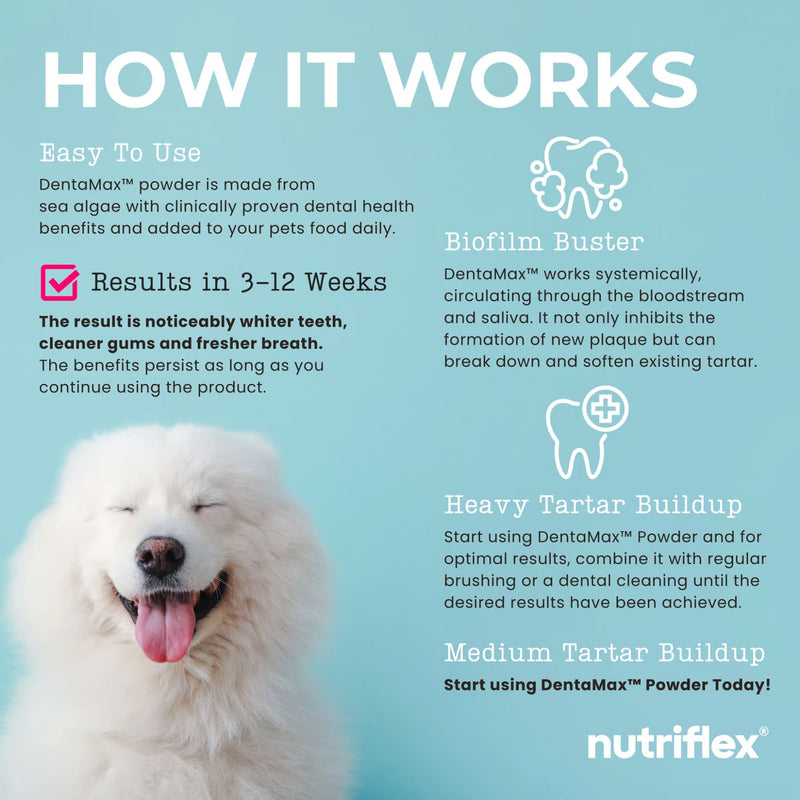 NutriFlex DentaMax Dental Powder for Dogs and Cats 180g
