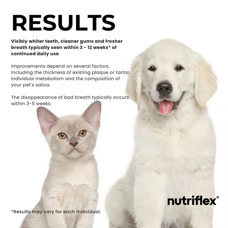 NutriFlex DentaMax Dental Powder for Dogs and Cats 180g