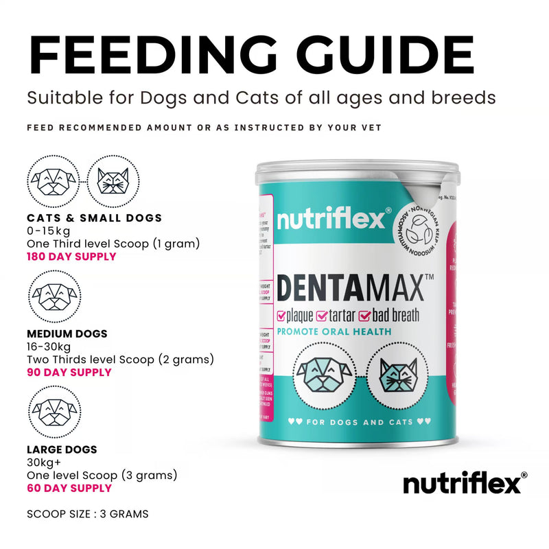 NutriFlex DentaMax Dental Powder for Dogs and Cats 180g
