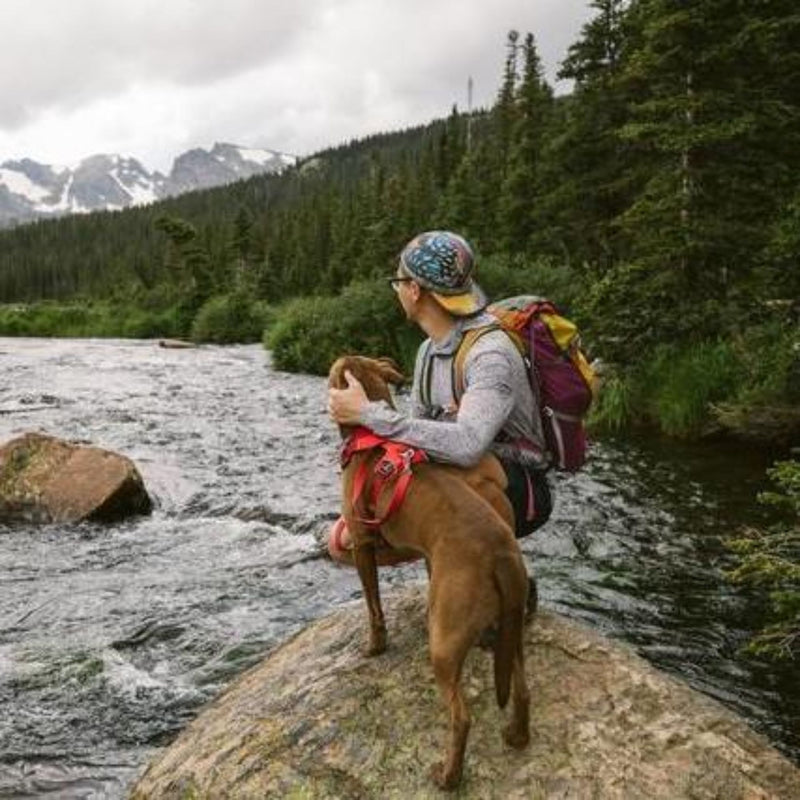 Ruffwear Front Range Padded Dog Harness