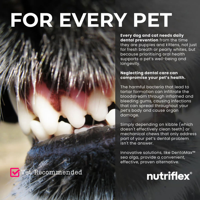 NutriFlex DentaMax Dental Powder for Dogs and Cats 180g
