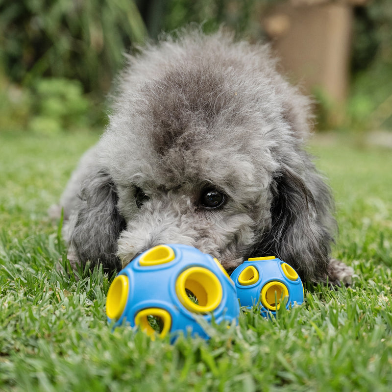 Zugo Whirlball Rubber Toy Interactive Brain-Teaser Treat Ball for Dogs