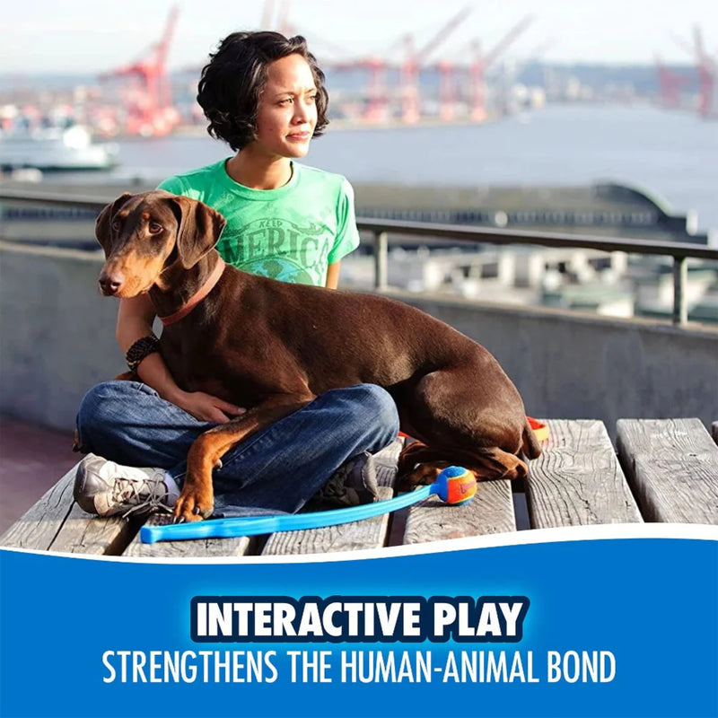 Chuckit! Classic Launcher Medium Ball Fetch Dog Toy