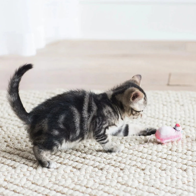 Fat Cat Classic Eeeks Catnip Toy