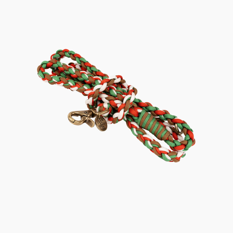 Lead with Love Dogmas Classic Dog Lead