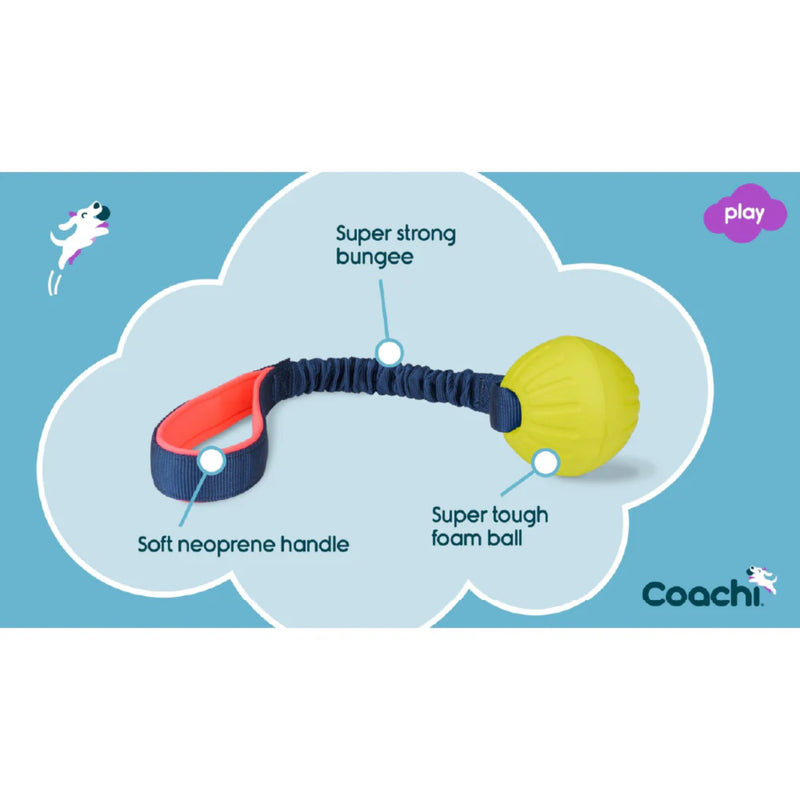 Company of Animals Coachi Tuggi Ball