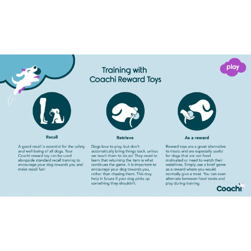 Company of Animals Coachi Tuggi Spider