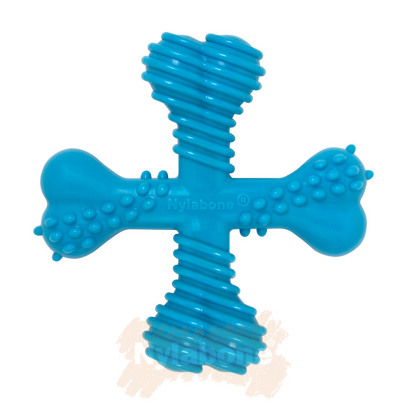 Nylabone Puppy X-Shaped Teething Chew – Beef Flavoured