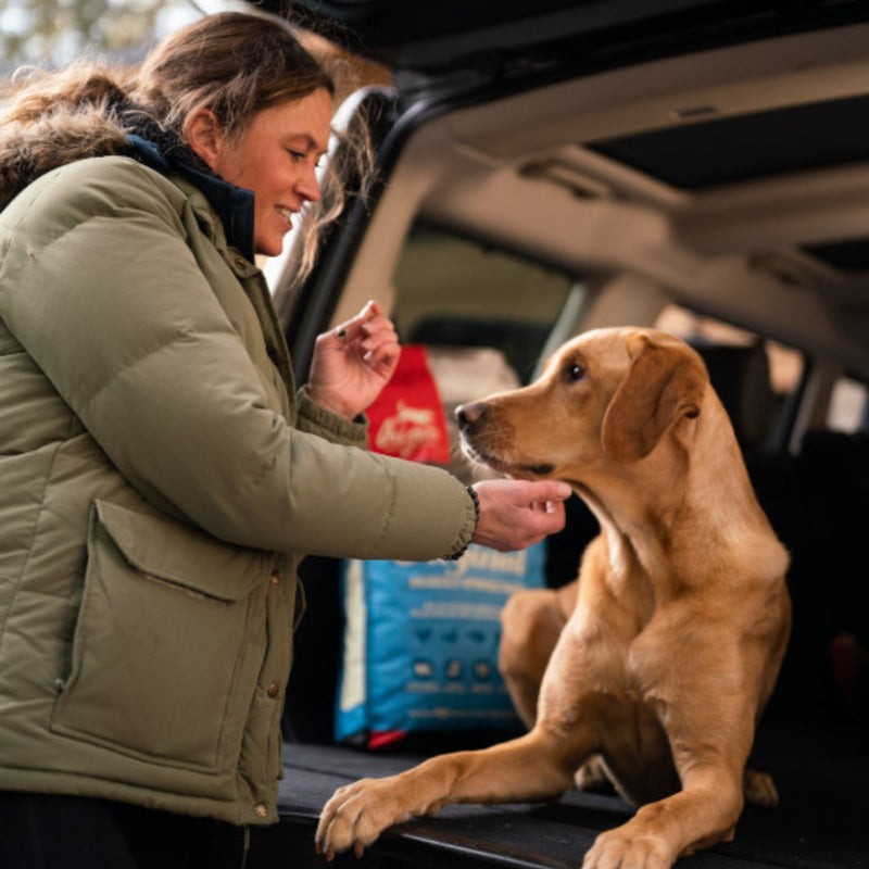 ORIJEN™ Original Dry Dog Food – Chicken, Turkey & Fish