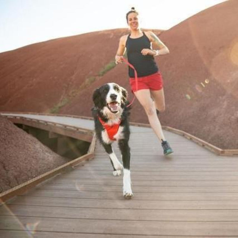 Ruffwear Front Range Padded Dog Harness