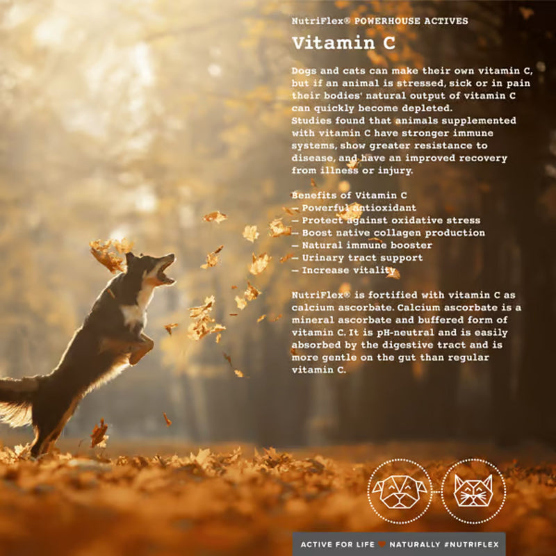 NutriFlex Advanced Hip & Joint Care For Dogs and Cats