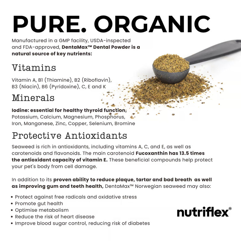 NutriFlex DentaMax Dental Powder for Dogs and Cats 180g