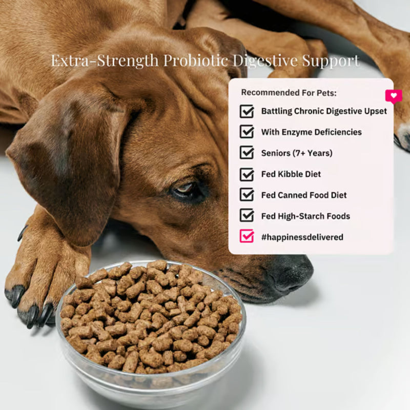 NutriFlex DigestiMax Extra-Strength Probiotics For Dogs And Cats