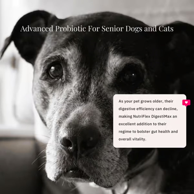 NutriFlex DigestiMax Extra-Strength Probiotics For Dogs And Cats