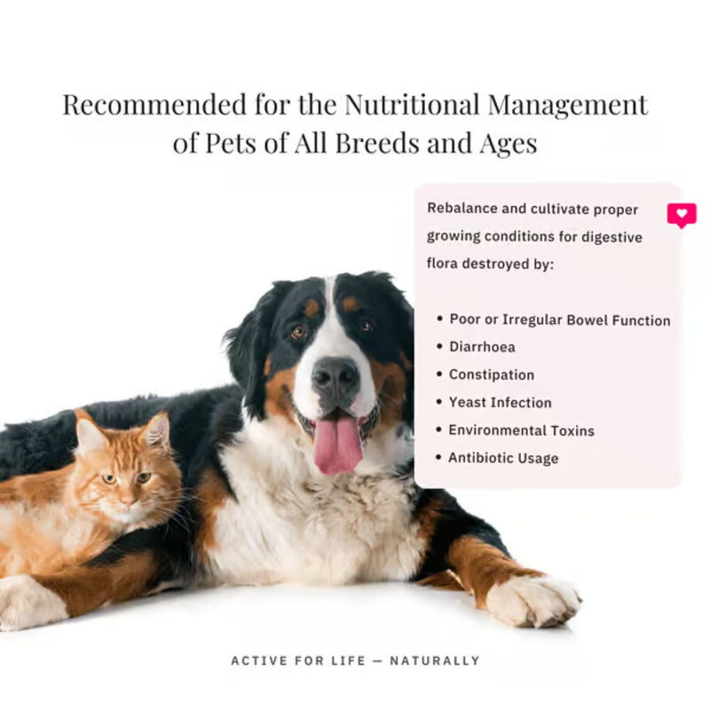 NutriFlex FloraMax Probiotic for Dogs and Cats 180g