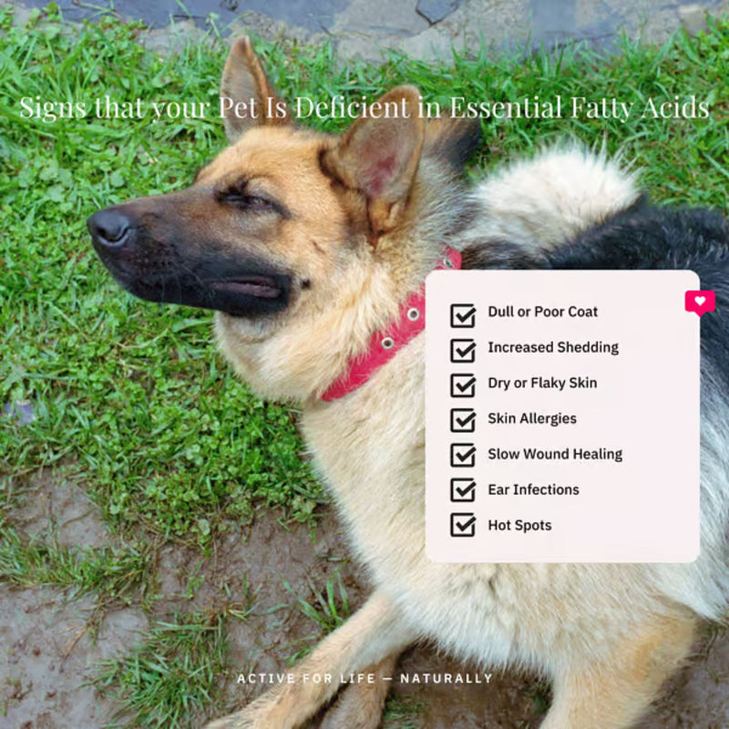 Nutriflex OmegaMax Omega 3 For Dogs & Cats | Fish Oil Softgels 120 x 1000mg