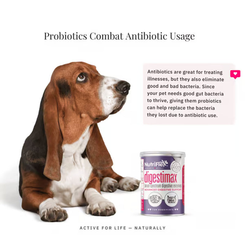 NutriFlex DigestiMax Extra-Strength Probiotics For Dogs And Cats