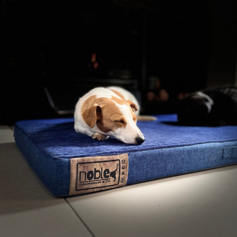 The Noble Napper Indoor Orthopaedic Dog Bed