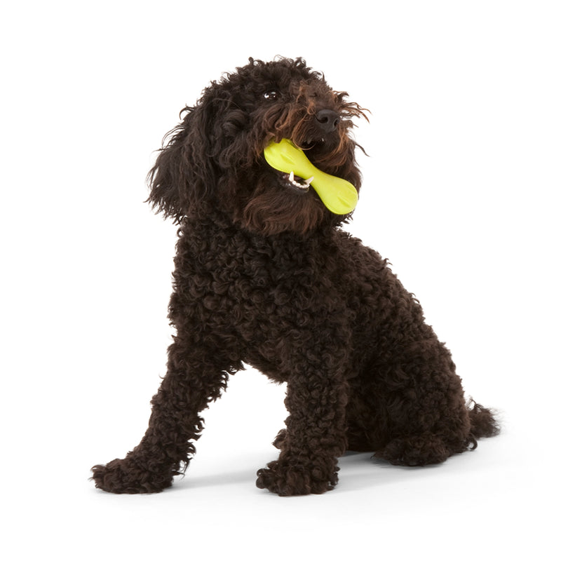 West Paw Hurley Bone Durable Dog Chew & Fetch Toy