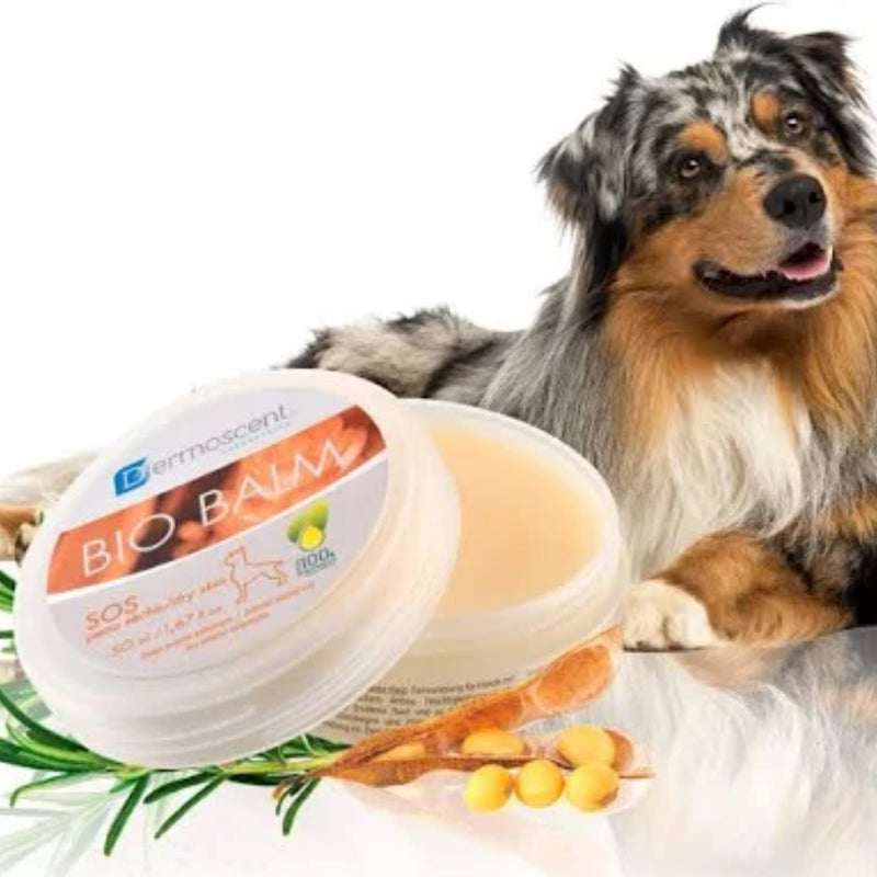 Dermoscent Bio Balm for Dogs 50ml