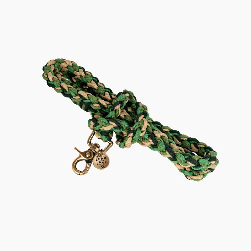 Lead with Love Dogmas Classic Dog Lead