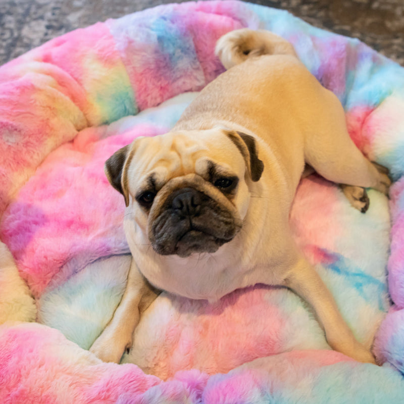 Dog's Life Calming Donut Cuddler Bolster Bed