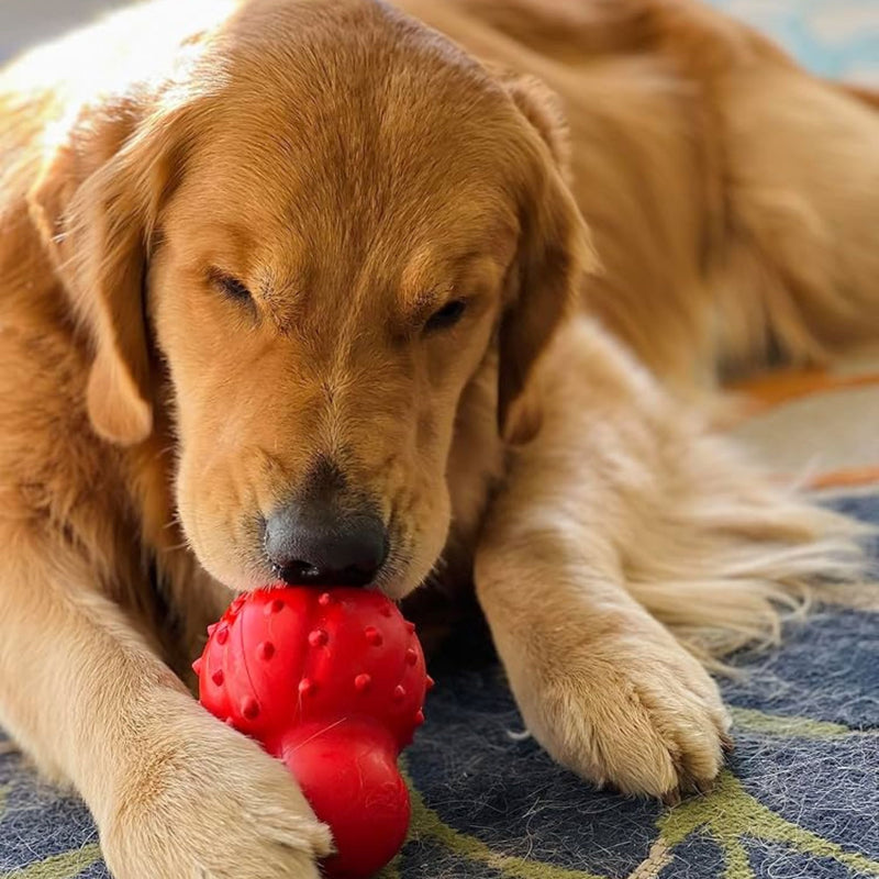 Nylabone Rhino Strong Cone Chew – Bacon Flavoured