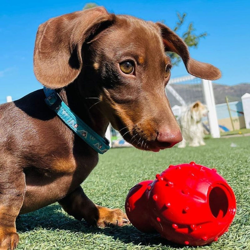 Nylabone Rhino Strong Cone Chew – Bacon Flavoured