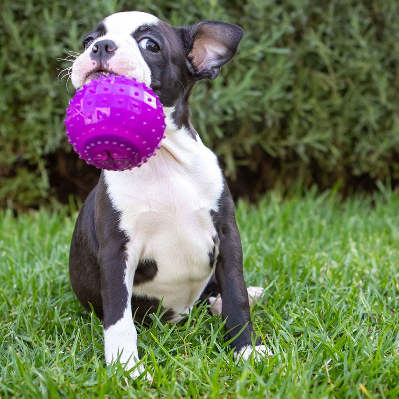 Takamisu Chilled & Chewy Freezable Toy Ball