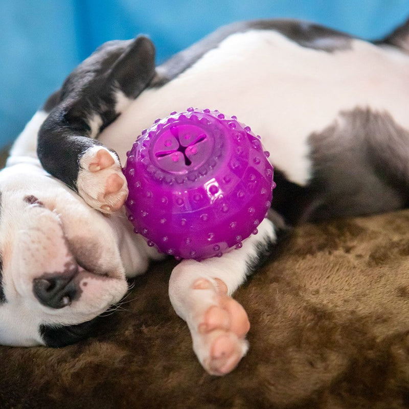 Takamisu Chilled & Chewy Freezable Toy Ball