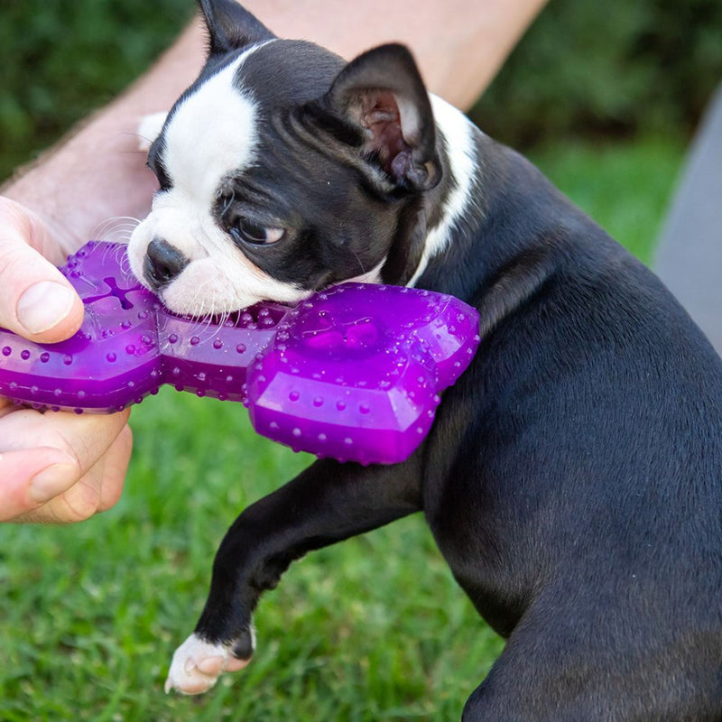 Takamisu Chilled & Chewy Freezable Toy Bone