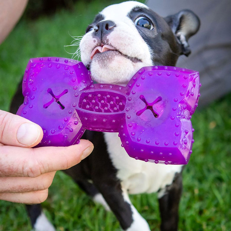 Takamisu Chilled & Chewy Freezable Toy Bone