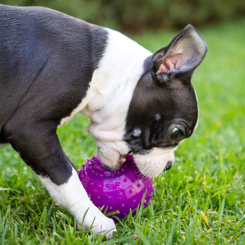 Takamisu Chilled & Chewy Freezable Toy Ball