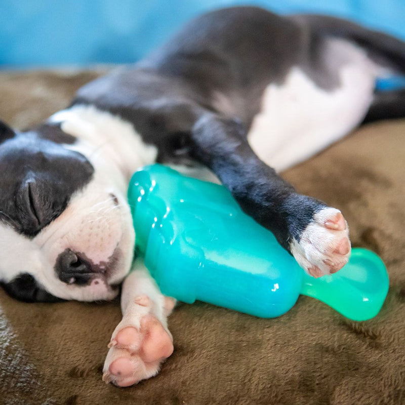 Takamisu Chilled & Chewy Freezable Ice Lolly Toy