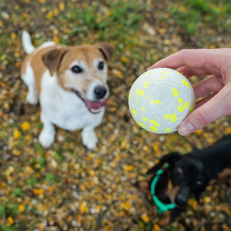 Takamisu eTPU Chewy Doggie Gobstopper
