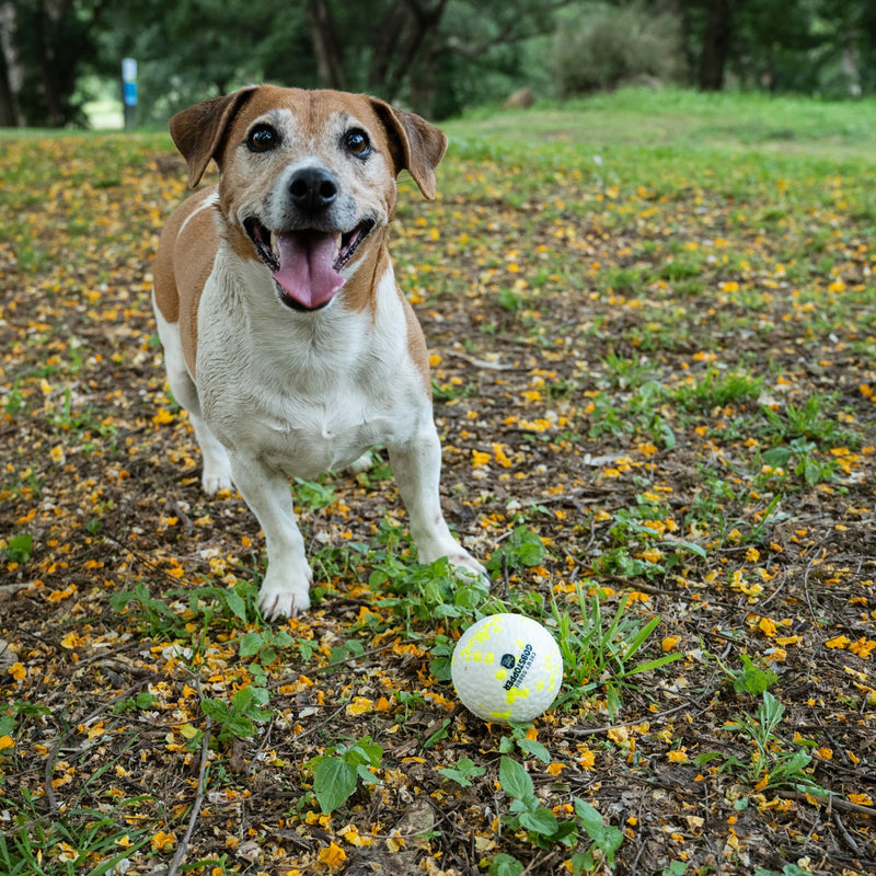 Takamisu eTPU Chewy Doggie Gobstopper